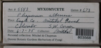 Image Associated With the Occurence